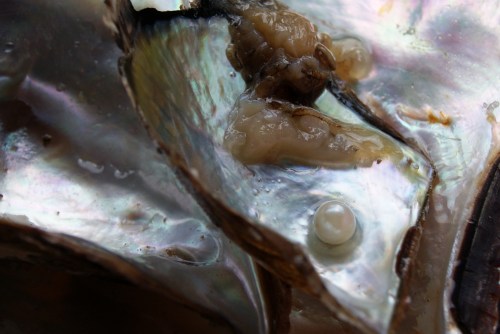 Source:  www.flicker.com by Alex Valavanis