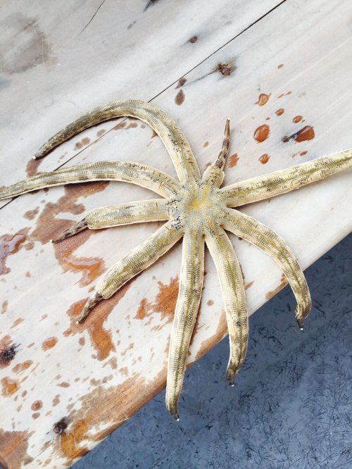 Source: La Vie Partagee