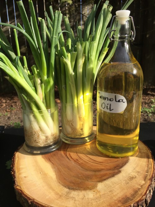 Source: laviepartagee.com