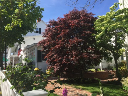 Source: La Vie Partagee