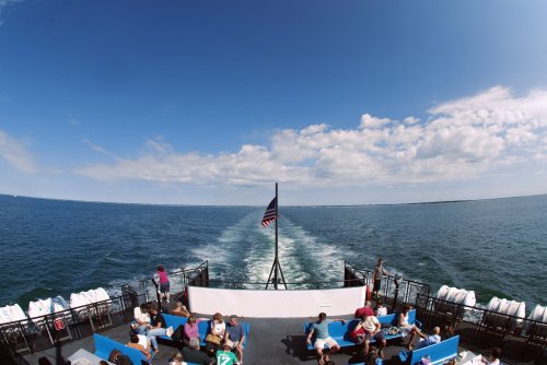 Source: www.flickr.com by courtneychase