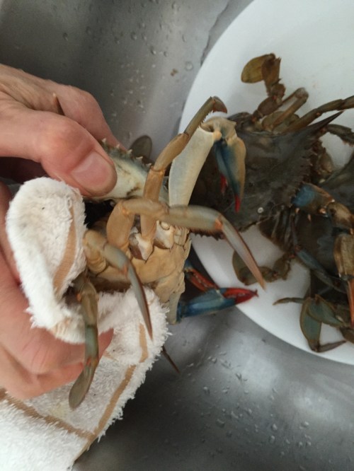 Source: laviepartagee.com