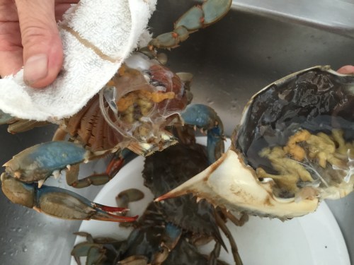 Source: laviepartagee.com