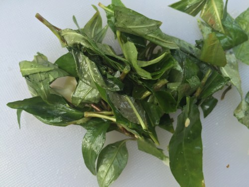 Source: laviepartagee.com