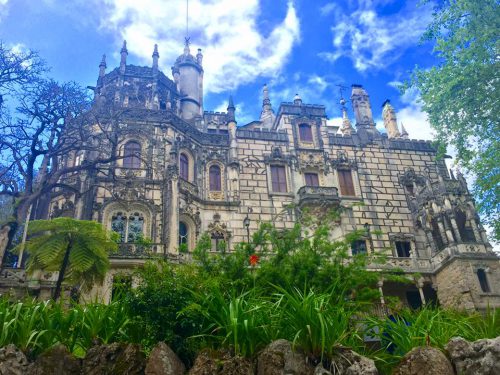 13151821_10102720233257559_2777602279151428763_n