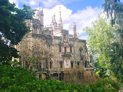 13221054_10102720233297479_2665551222472503288_n