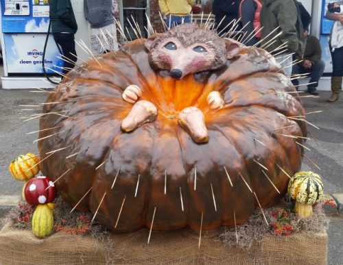 damariscotta-pumpkin-fest-38-640x495